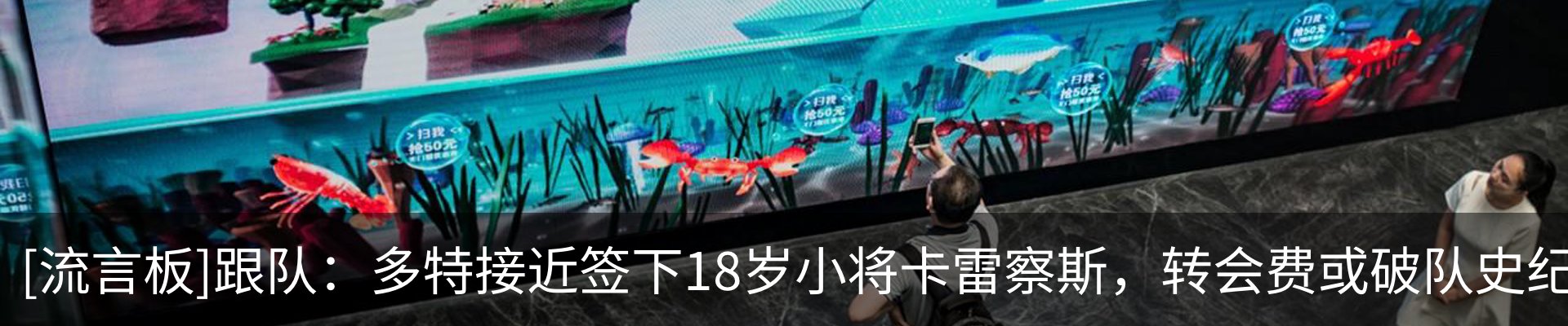 最新动态